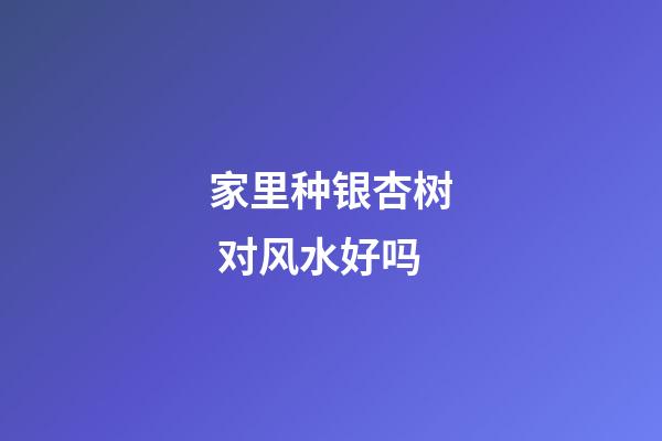 家里种银杏树 对风水好吗